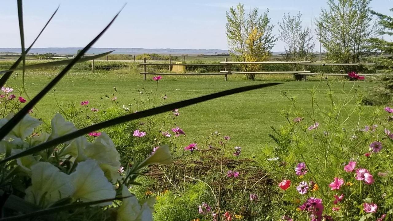 Anna'S Prairie Comfort B & B Moose Jaw Exterior photo
